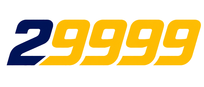 29999 লোগো